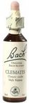 Bach-Blüte Clematis 20 ML