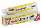 GIMPET Multi-Vitamin-Paste plus mit TGOS 100 G