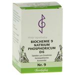 Biochemie 9 Natrium phosphoricum D 6 500 ST
