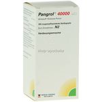 PANGROL 40000 100 ST