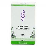 Biochemie 1 Calcium fluoratum D 6 500 ST