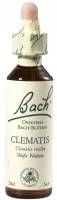Bach-Blüte Clematis 20 ML - 0053249
