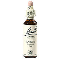 Bach-Blüte Larch 20 ML - 0064595