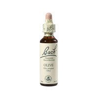 Bach-Blüte Olive 20 ML - 0125919