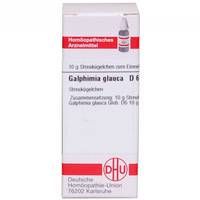 GALPHIMIA GLAUCA D 6 10 G - 2890682