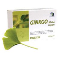 Ginkgo 100mg Kaps + B1 C+E 48 ST - 2909329
