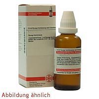 ABSINTHIUM D 2 50 ML - 4200144