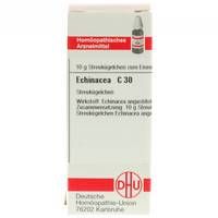 Echinacea (HAB) C30 10 G - 4215772