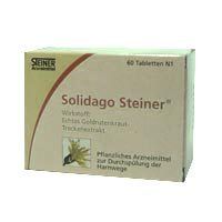 SOLIDAGO STEINER 60 ST - 4919800