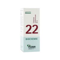 Biochemie Pflüger Nr. 22 Calcium carbonicum D 6 100 ST - 6322816