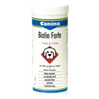 Biotin forte 100 G - 8535031